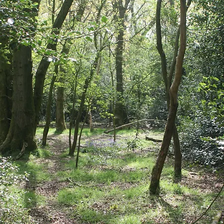 Faraway Hébergement de vacances