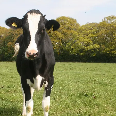 Hébergement de vacances Faraway *